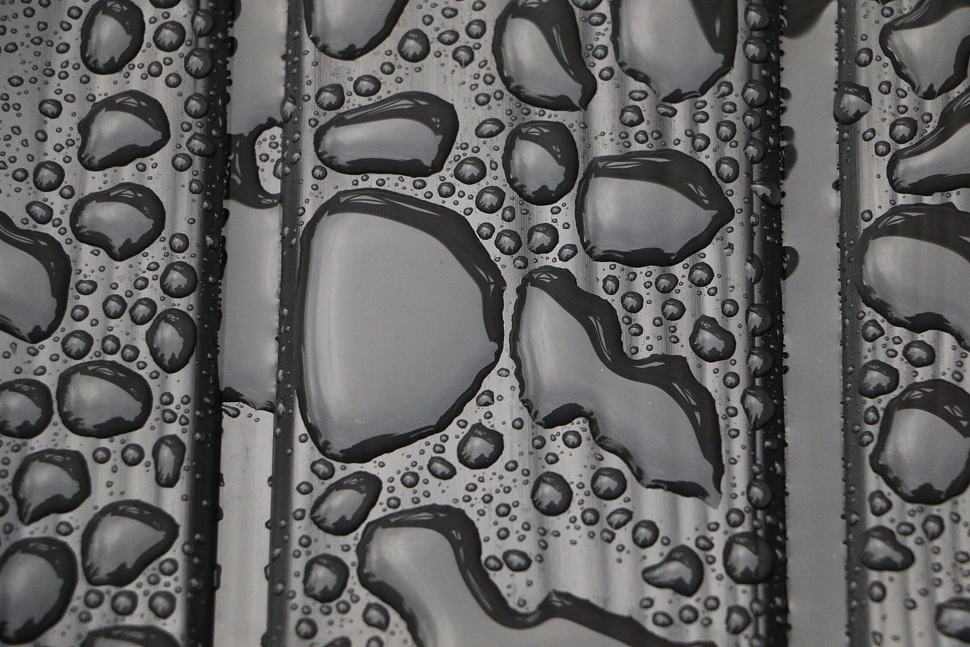 Water Ingress Damage in South African Buildings